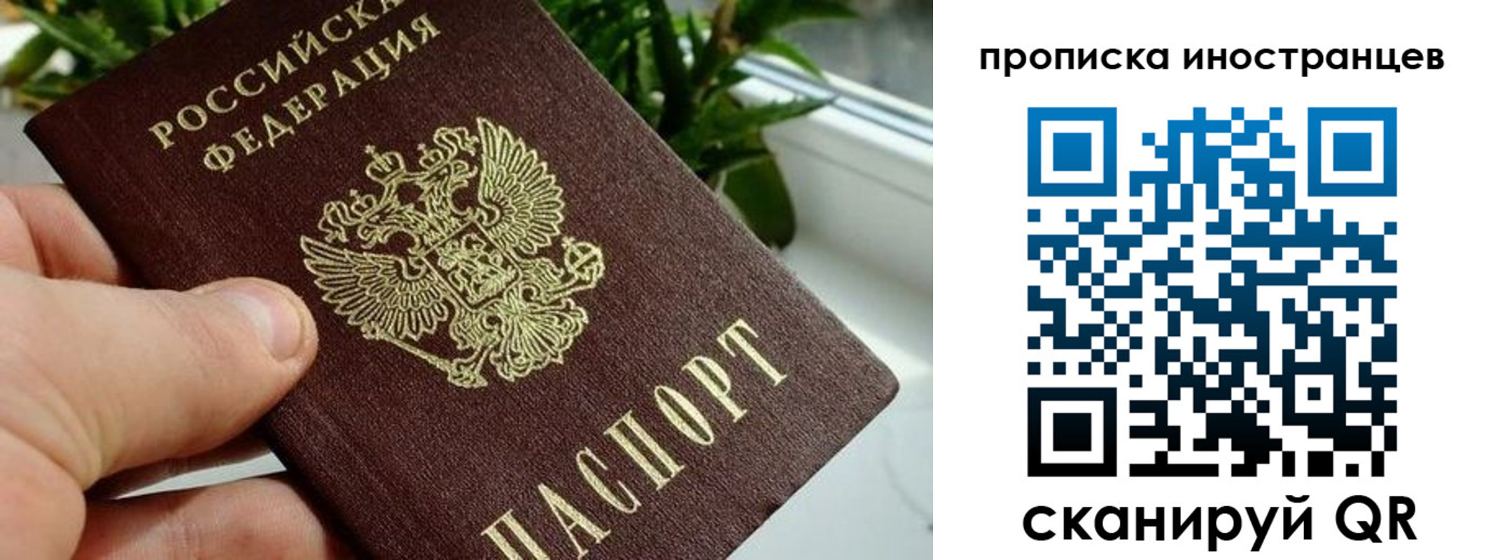 временная регистрация в Фролово